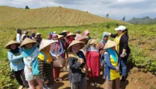 Kemen PPPA menekankan pentingnya mengintegrasikan kebutuhan spesifik perempuan dan anak dalam strategi kesiapsiagaan bencana.