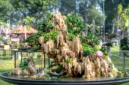 Perencanaan yang matang sejak awal dapat menghindari kesalahan dalam pembuatan taman rumah.
