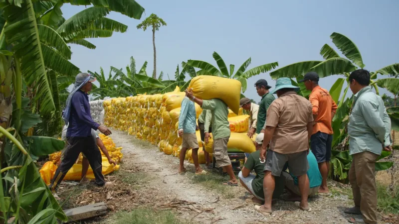 Pemkab Yahukimo menyalurkan bantuan pangan darurat untuk warga terdampak kekeringan