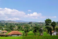 Peti jenazah korban penembakan ASN Pemerintah Kabupaten Jayawijaya di Bandara Wamena untuk dipulangkan ke kampung halaman.