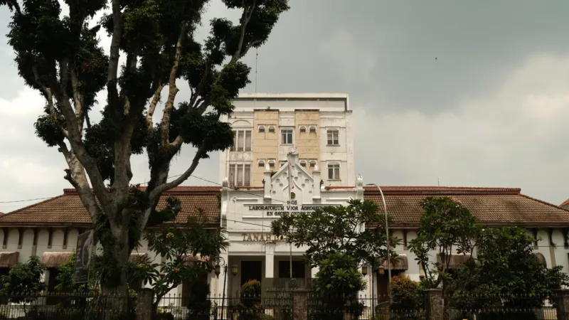 Diajeng Ayu Puspita, siswi SMAN 5 Semarang yang lolos Parlemen Remaja 2026 mewakili Jateng 1.