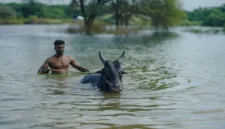 Perenang India Rishabh Das menempati posisi keenam dalam final 100 meter gaya punggung putra Asian Games 2026.