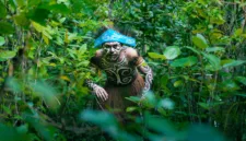 Populasi satwa liar endemik seperti kangguru Papua di Papua Selatan semakin menurun akibat tekanan lingkungan dan aktivitas manusia.
