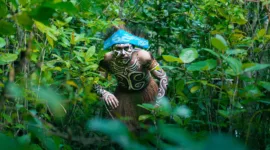 Populasi Satwa Liar Endemik di Papua Selatan Menurun