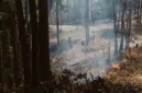 Ilustrasi. Kasus kebakaran hutan dan lahan di sejumlah wilayah Indonesia meningkat. Simak jumlah tersangka, laporan, dan luas area yang terbakar. (Foto: Pexels)